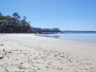 Surf Beach, Bateman