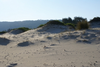 Sand Dunes Reference