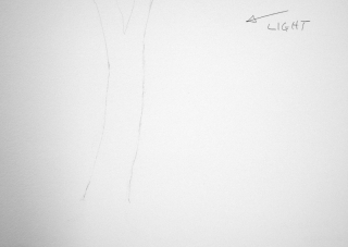 Gum Tree Drawing with sunlight arrow