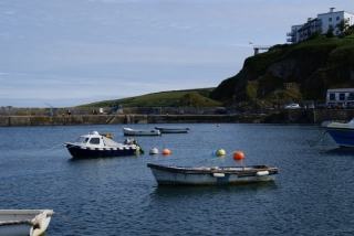 Boats in harbor with reflections