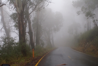 Painting rain fog and mist Reference Photo