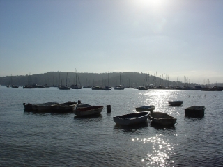 Row boats and sail boats on Pittwater, Sydney, Australia