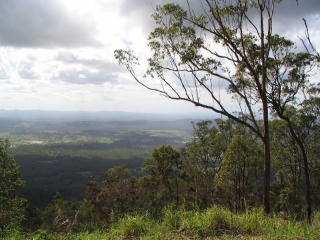 from-tamborine-mountain-queensland
