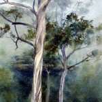 Grose Valley gum trees watercolor painting. Misty green background.