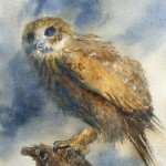Owl on branch watercolor painting