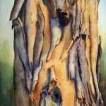 Peeling Bark Australian Gum Tree watercolor painting