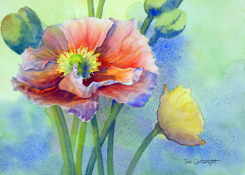 Watercolor Paintings Flowers Gallery Watercolour Flowers 