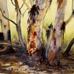 River Red Gums Flinders Ranges watercolor painting. Yellow background and reds and other warm colors on bark.