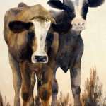 Two cows saying hello watercolor painting