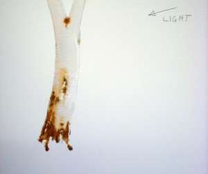Gum tree demonstration add even thicker mix of burnt sienna watercolor