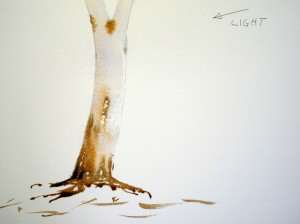 Gum tree roots and dropped branches and bark
