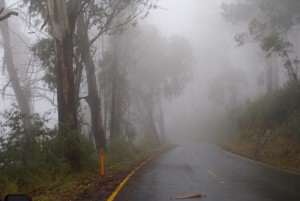 Chuva e nevoeiro referência névoa foto Mt Hotham para pintura em aquarela