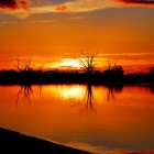 Lake Bonney SA reference photo for watercolor painting. Warm red sunset with red reflections.
